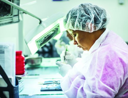 Exportaciones totales de Costa Rica crecen un +11% en el 2025