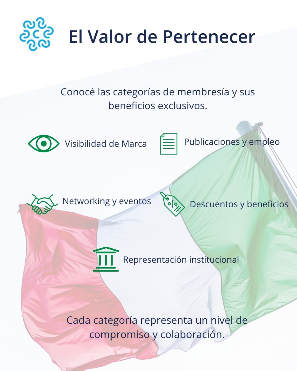 Foto categorias socios camara