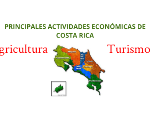 Análisis de los principales sectores económicos de Costa Rica.