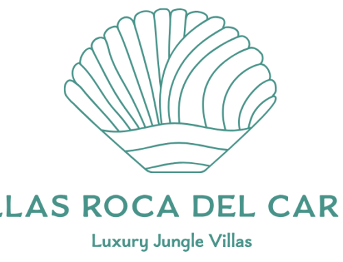 Expansión Internacional del Know-how Hotelero Italiano – Mille Miglia S.r.l.